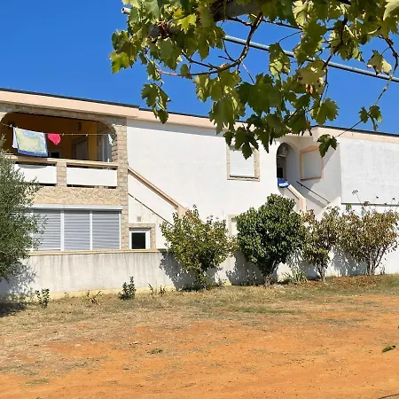 Apartements Delfin Apartment Vir
