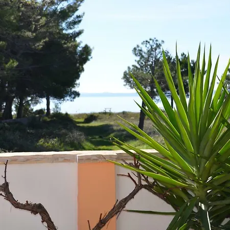 Apartment Apartements Delfin