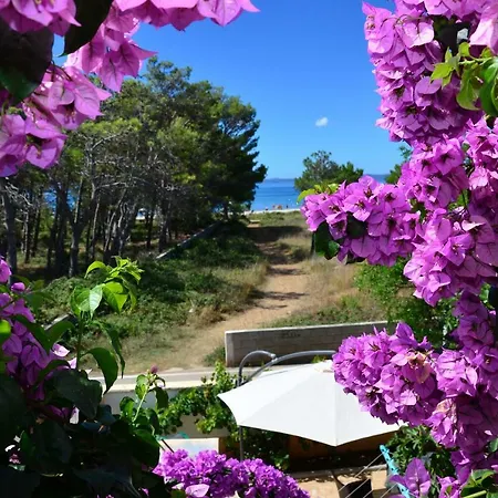 Apartements Delfin * ヴィル