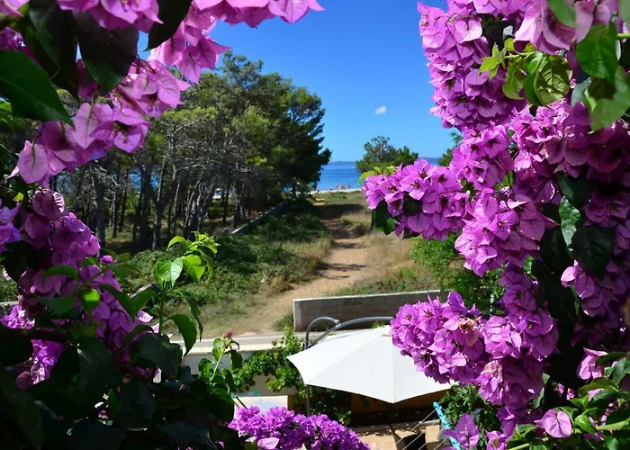 Apartements Delfin * Vir